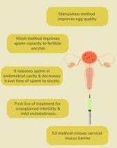 IUI Benefits